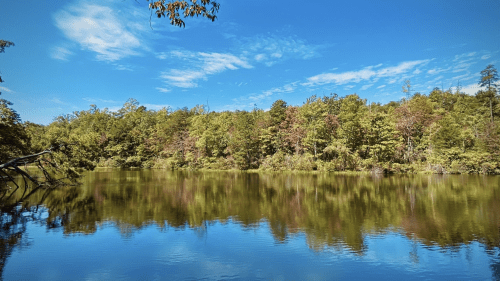 A serene lake surrounded by lush green trees, reflecting the blue sky and clouds above.