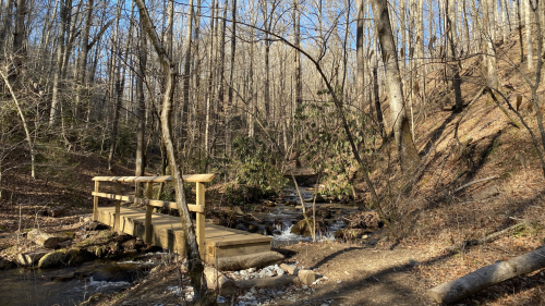 A wooden bridge crosses a small stream in a forest with bare trees and a rocky path. Sunlight filters through the branches.