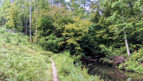A serene path winding through lush greenery beside a calm stream in a wooded area.