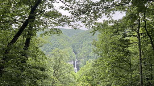 A lush green forest frames a distant waterfall cascading down a mountainside, surrounded by rolling hills.