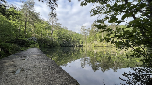 A serene lake surrounded by lush greenery, reflecting trees and clouds in calm water, with a stone path in the foreground.