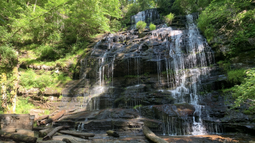 A serene waterfall cascading over rocky terrain, surrounded by lush green trees and foliage.
