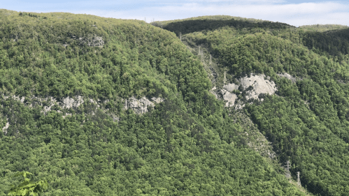 Lush green mountains under a clear blue sky, showcasing rocky cliffs and dense forest vegetation.