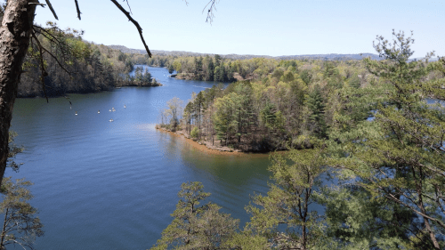 A serene lake surrounded by lush greenery and trees, with kayakers paddling in the calm water under a clear blue sky.