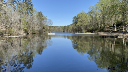 A serene lake surrounded by trees, reflecting the clear blue sky and greenery on a sunny day.