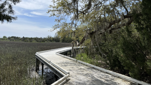 A wooden boardwalk winds through a marsh, surrounded by greenery and trees under a blue sky.
