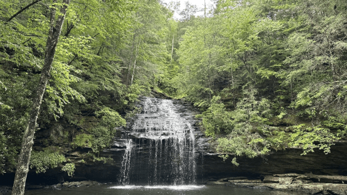 A serene waterfall cascades over rocks, surrounded by lush green trees and foliage in a tranquil forest setting.