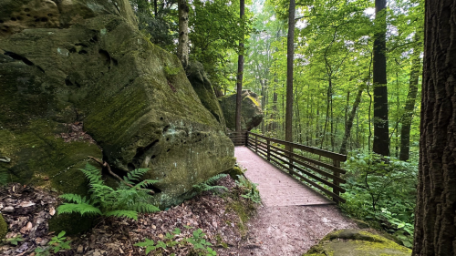 A winding path through a lush green forest, flanked by large rocks and wooden railings.