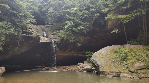 A serene forest scene featuring a waterfall cascading into a calm pool, surrounded by lush greenery and large rocks.