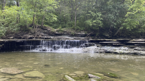 A serene waterfall cascades over rocks into a clear pool, surrounded by lush green trees and foliage.