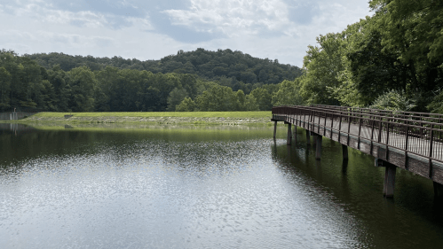 A serene lake surrounded by lush greenery, with a wooden walkway extending over the water under a cloudy sky.