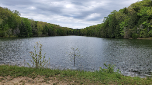 A serene lake surrounded by lush green trees under a cloudy sky, with a sandy shore in the foreground.