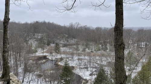 A winter landscape with bare trees, a snowy ground, and a rocky cliff in the distance under a cloudy sky.