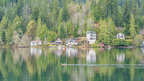 A serene lake scene with houses along the shore, surrounded by lush green trees and a swimmer in the water.