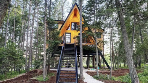 A modern A-frame cabin elevated on stilts, surrounded by trees and a gravel path.