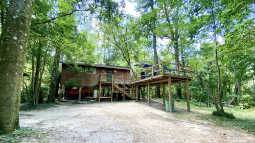 A wooden treehouse elevated on stilts, surrounded by lush green trees and a sandy path.