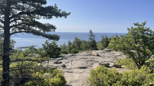 A rocky landscape with trees overlooking a calm ocean under a clear blue sky.