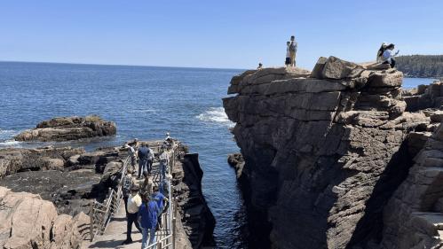 A rocky coastline with people walking on a bridge and others sitting on large boulders, under a clear blue sky.