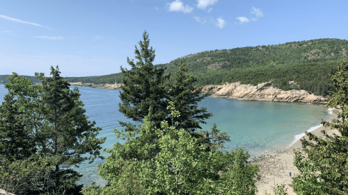 A serene coastal view featuring clear blue water, sandy beach, and lush green trees under a bright sky.