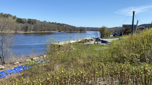 A serene river scene with green grass, trees, and parked cars along the water under a clear blue sky.
