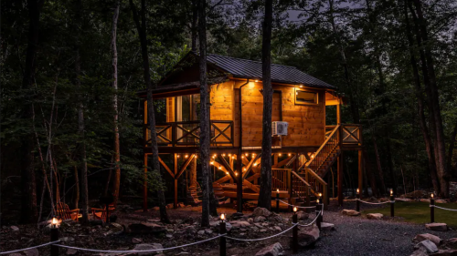 A cozy treehouse illuminated at night, surrounded by trees and a gravel path lined with lights.