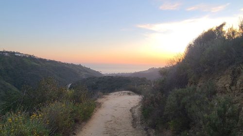 A sandy path winds through green hills, leading to a sunset over the ocean in the distance.