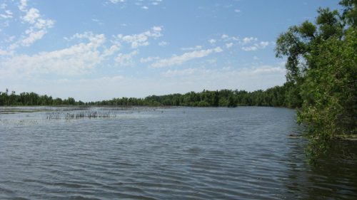 A serene river scene with calm water, lush greenery, and a blue sky dotted with clouds.