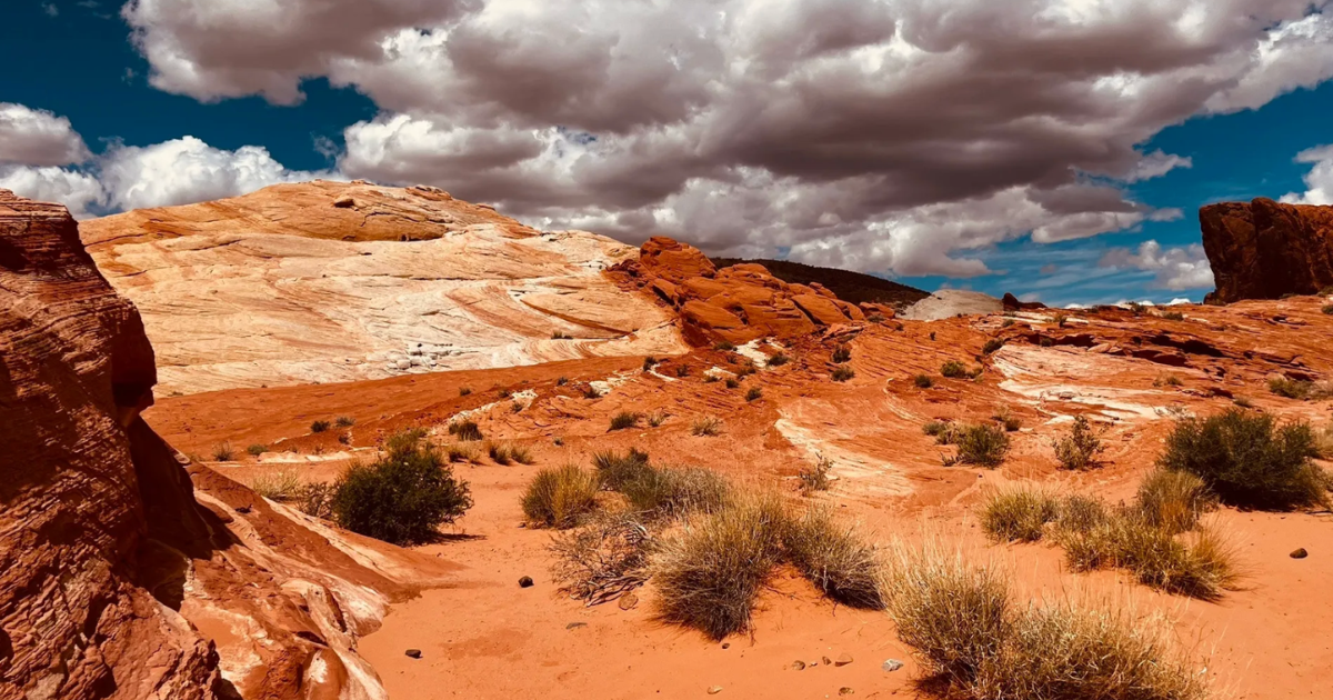 4 Picture-Perfect Nature Trails in Nevada for a Spring Hike