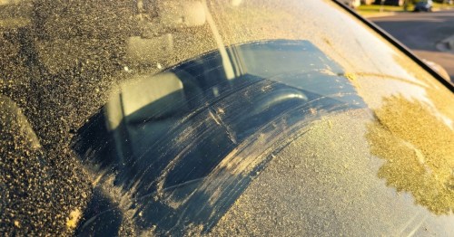 Thick yellow pollen covering a car windshield during a high-count spring day.