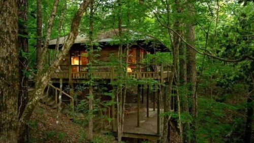 A cozy wooden cabin elevated on stilts, surrounded by lush green trees in a serene forest setting.