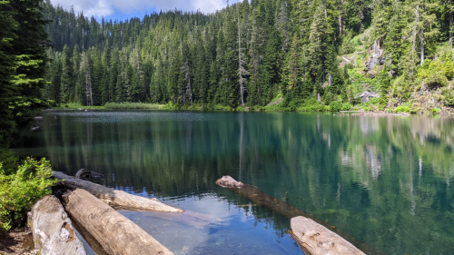 A serene lake surrounded by lush green trees and logs along the shore, reflecting the blue sky and clouds.