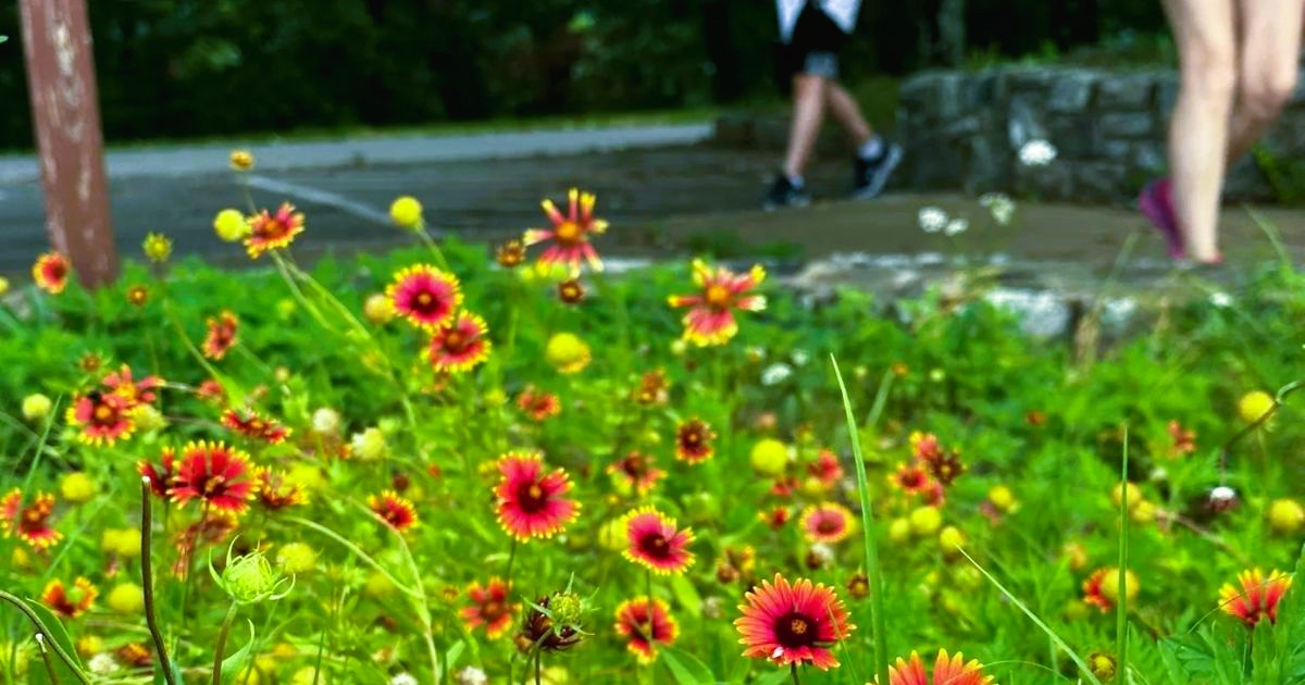 3 Picture-Perfect Nature Trails in Arkansas for a Spring Hike