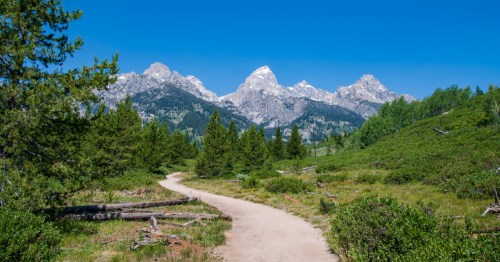 The Taggart Lake Loop in Grand Teton National Park, Wyoming, winding through pine forest with mountain peaks rising under a clear blue sky.