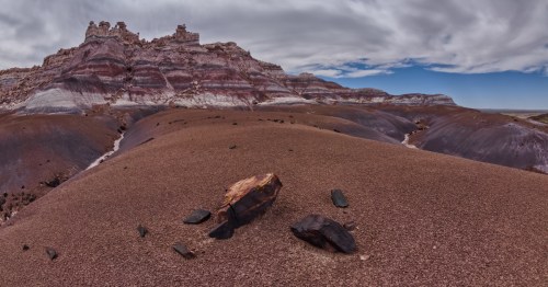 petrified wood sits in the landscape of billings gap with badlands in the background