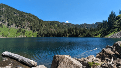 A serene lake surrounded by lush green mountains under a clear blue sky, with rocks and a log in the foreground.