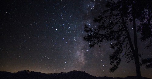 A dark sky park in Tennessee with the Milky Way overhead.