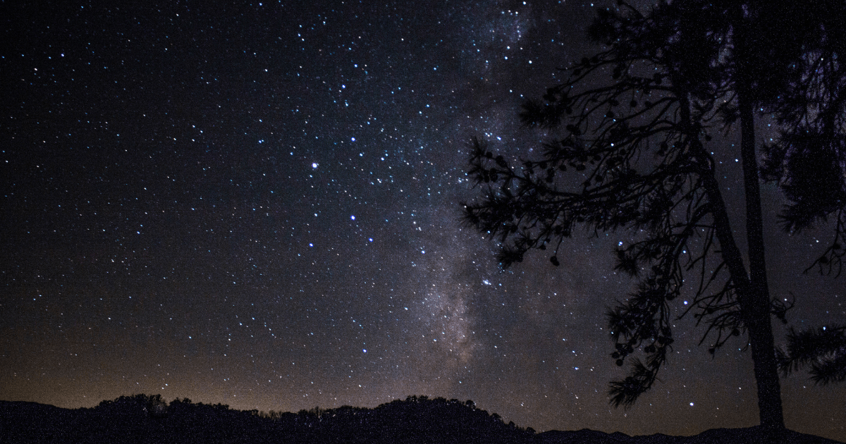 Seeing This Tennessee State Park After Dark Is Better Than Daytime