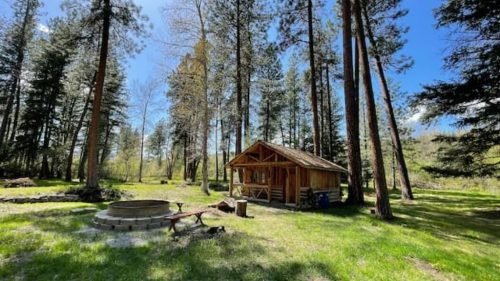 A cozy wooden cabin surrounded by tall trees and a fire pit in a sunny, green forest clearing.