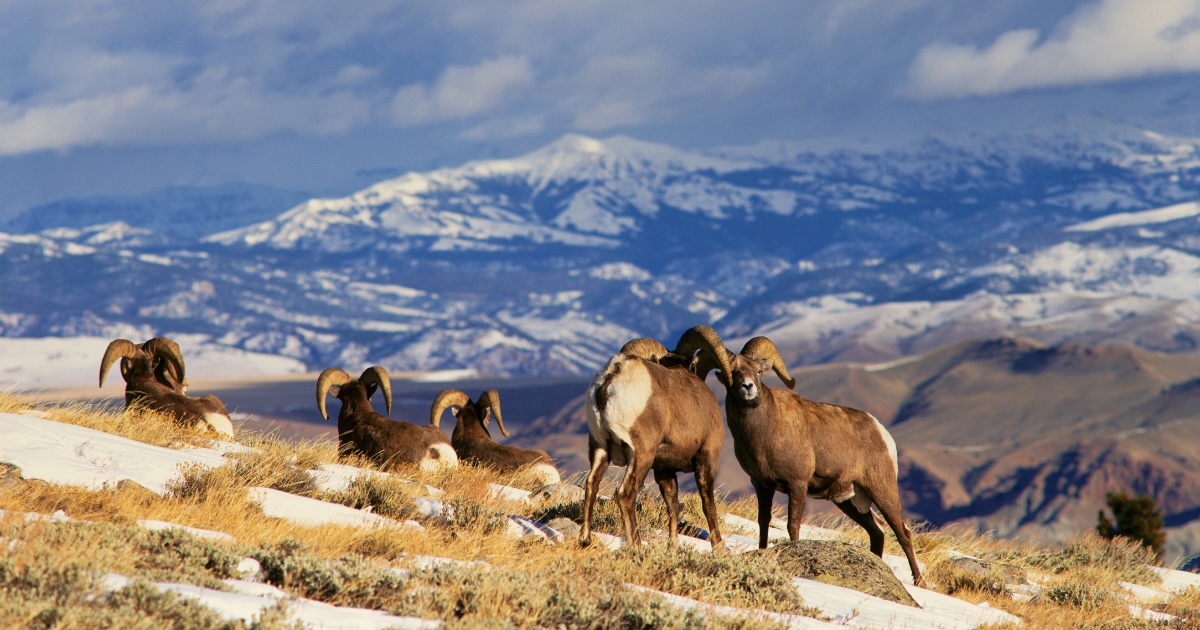 This Little-Known Waterfront Town Is One of the Most Charming in Wyoming