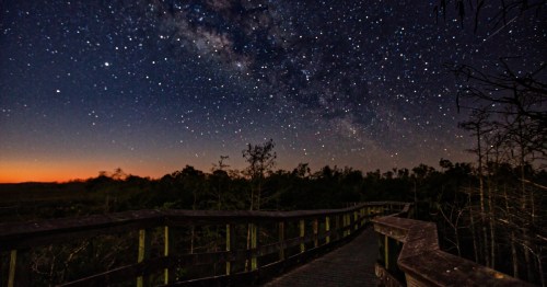 Milky Way in the Everglades, Florida