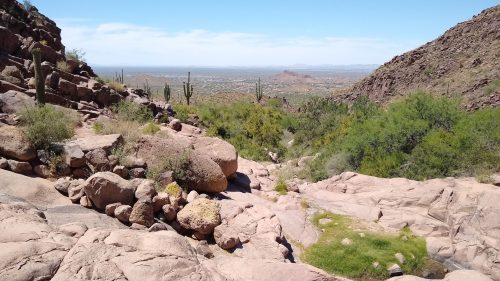 A rocky desert landscape with cacti, green shrubs, and distant mountains under a clear blue sky.