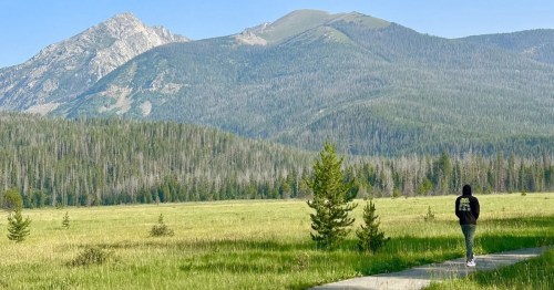 Hiker walking along Coyote Valley Trail in Rocky Mountain National Park, Colorado, with mountain views.