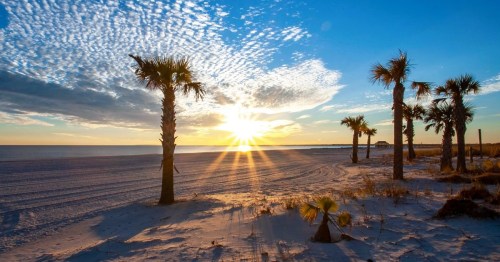 Sunset over a sandy beach with palm trees silhouetted against a colorful sky with a golden sun in Pass Christian, Mississippi.