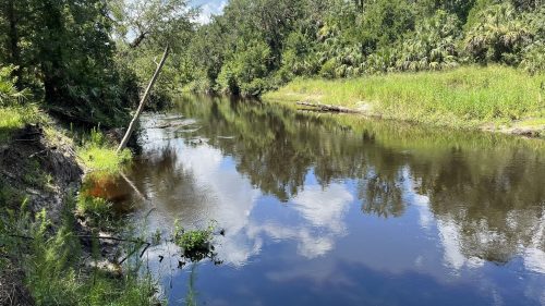 A serene river scene surrounded by lush greenery and trees, reflecting clouds in the calm water.