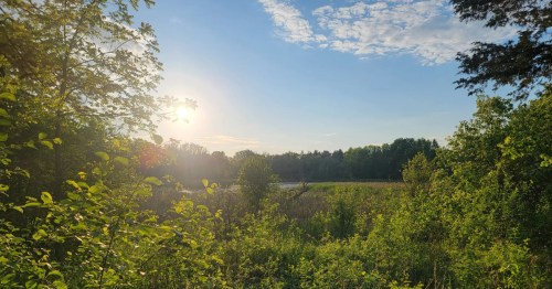 Sun peeking out from behind the trees in the distance in Lapham Peak in Delafield, Wisconsin.