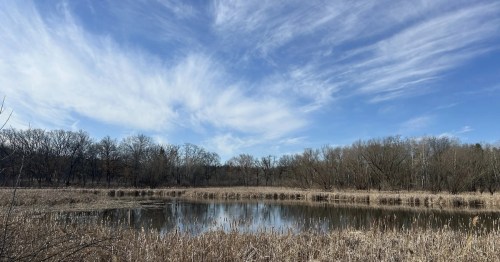 Pond view along Meadow Trail Loop at Lapham Peak in Delafield, Wisconsin.