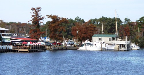 Boats docked along a calm waterfront marina in Madisonville, Louisiana with autumn trees in the background.