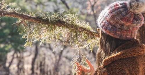 Close-up of a woman mindfully connecting with cedar branches during forest therapy in Lawrence, KS.