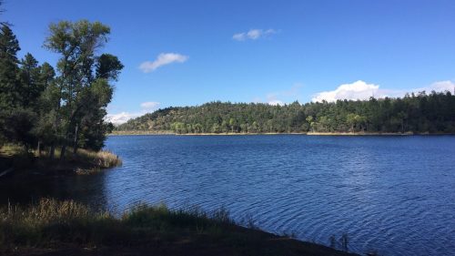 A serene lake surrounded by trees under a clear blue sky with a few clouds.