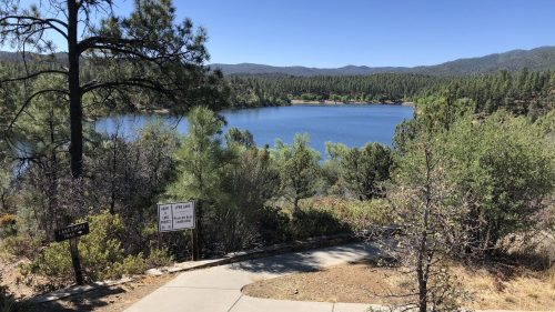 A scenic view of a lake surrounded by trees, with a pathway leading down to the water's edge under a clear blue sky.